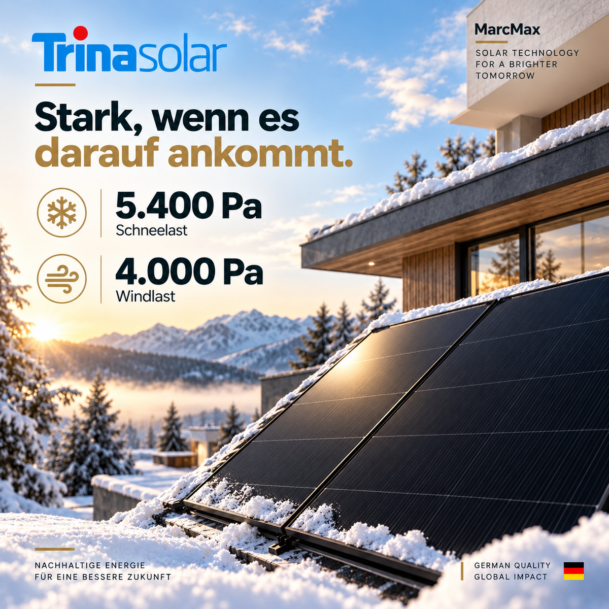 Trina Vertex S+ N-Type Dual Glass 465W - 1500V Black Frame Solar Panel Palette